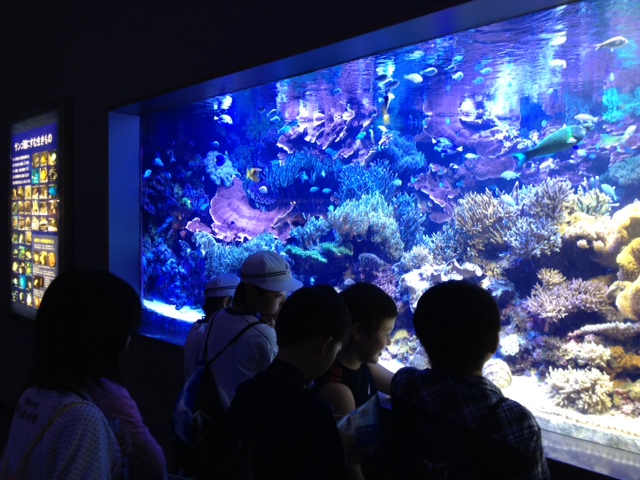 水族館１