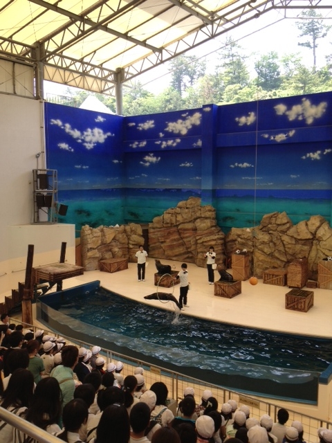 水族館２