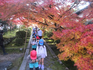 一休寺紅葉を開きます。