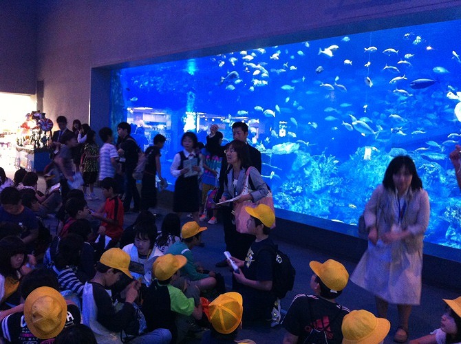 水族館１