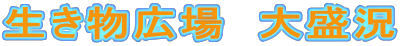 ʪ졡
