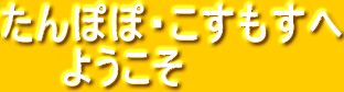 ݤݡ⤹
褦