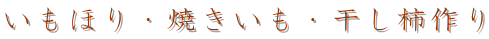 ۤꡦƤ⡦