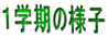 شͻ