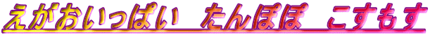 äѤݤݡ⤹