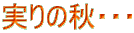 ̏HEEE