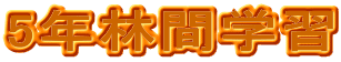 5ǯӴֳؽ