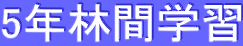 5ǯӴֳؽ
