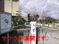 wɂ́ẢԂ悭