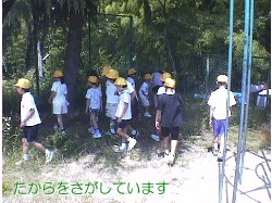 takara_sagashi1