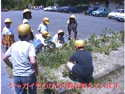 quiz_2