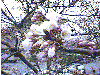 0402b