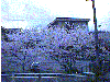 0407a