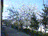 0408c
