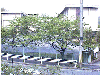 0505a