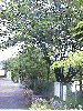 0505b